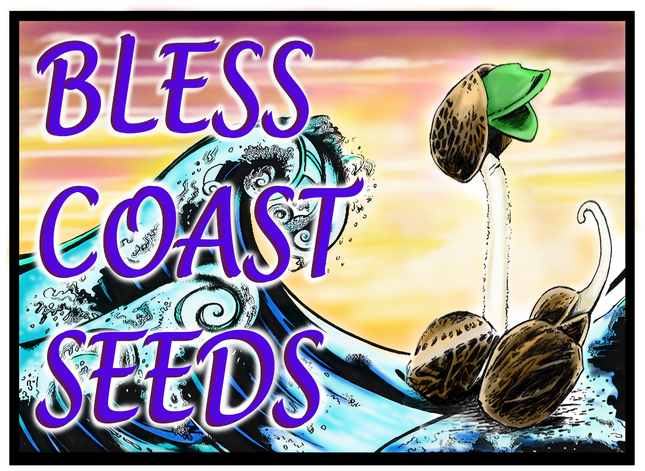 BlessCoastSeeds