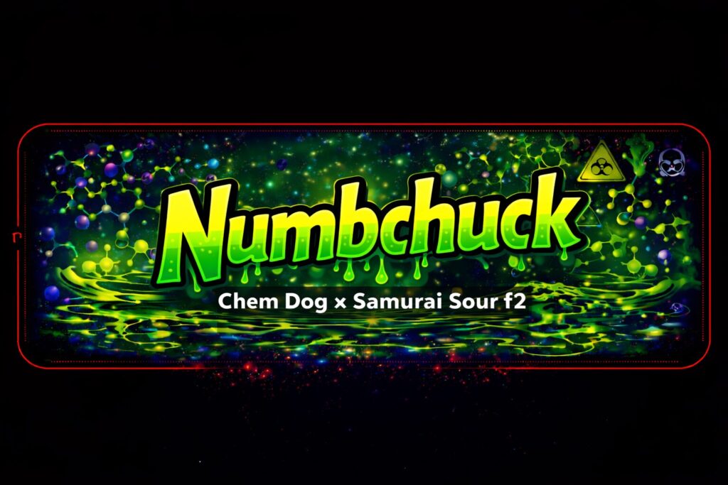 NumbChuck